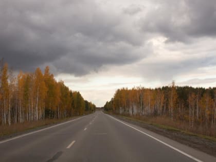 В Тюмени 23 октября ожидается холодный и ветреный день