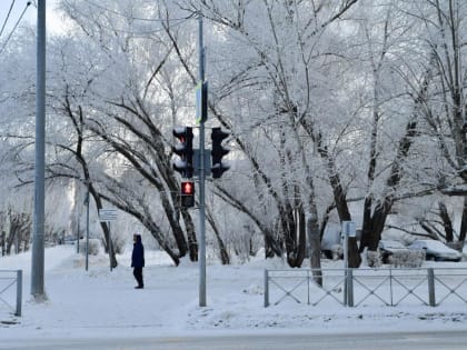 Для учеников первой смены в Тюмени объявлена актировка