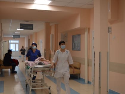 Ишимские медики спасли от гибели женщину, ужаленную насекомым