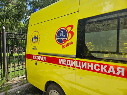 Медики помогли тюменке, которую во дворе дома укусила гадюка