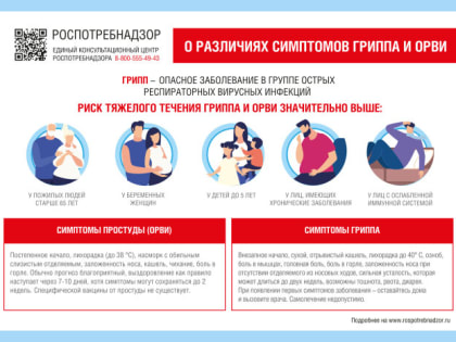 Об эпидемиологической ситуации по острым респираторным вирусным инфекциям