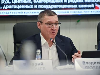 Владимир Якушев призвал уделить особое внимание электроснабжению в регионах УФО