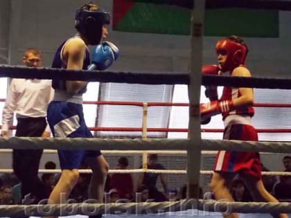 В Тобольске стартовали чемпионат и первенство по боксу