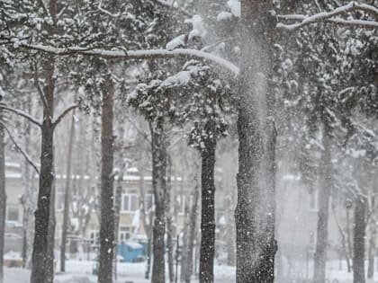 Россельхозбанк снизил первоначальный взнос по сельской ипотеке до 20 %