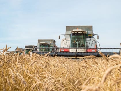 Александр Моор поздравил тюменских аграриев с первым миллионом тонн зерна нового урожая