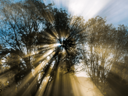 В среду в Тюмени температура воздуха может подняться до +23 градусов