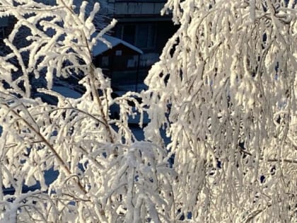 Сильный ветер и резкое похолодание ожидаются в Тюмени