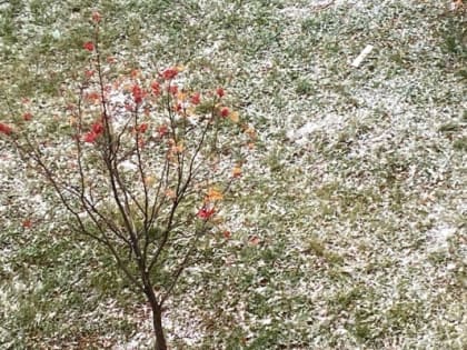 На следующей неделе в Тюмени ожидаются снег, дождь и минусовая температура