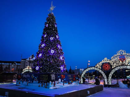 В Тобольске установят семь городских елок