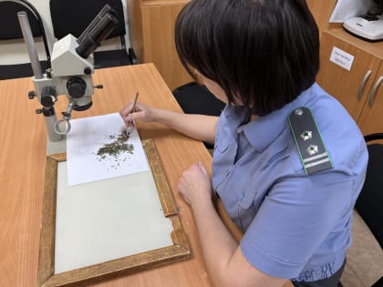 Карантинные объекты, выявленные за 1 квартал 2024 г.