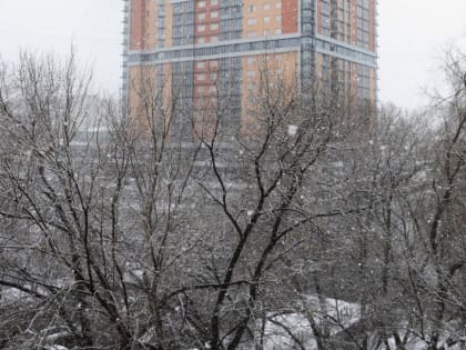 В Тюмени  27 февраля прогнозируют снегопад и -8 градусов