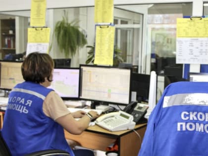 Бригада скорой помощи спасла пациента, потерявшего сознание от укусов осы