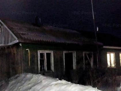 В пожаре в Сладковсом районе погиб мужчина