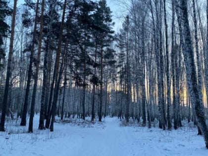 В четверг в Тюмени морозы усилятся до -35 градусов