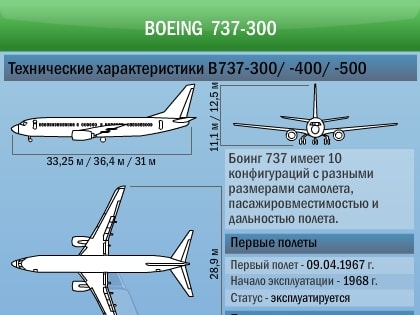 Все находившиеся на борту разбившегося в Иране самолета погибли. Названа причина крушения