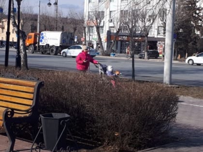 В пятницу в Тюмени потеплеет до +15 градусов