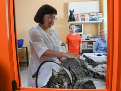 Ветеринары Зимины из Ялуторовска развивают бизнес при господдержке