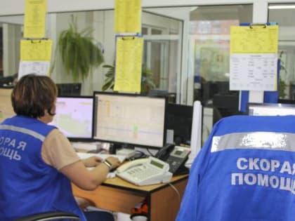 Дачника, пострадавшего от осиного роя, спасла бригада скорой помощи