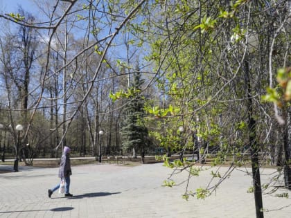 В Тюмени 28 апреля прогнозируют +10 градусов, дождь и грозы