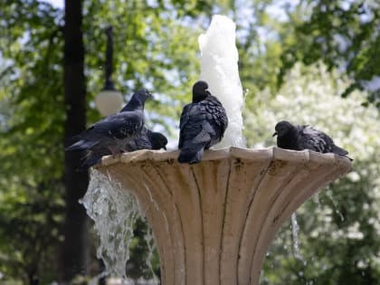 В Тюмени 22 мая прогнозируют малооблачную погоду и +27 градусов