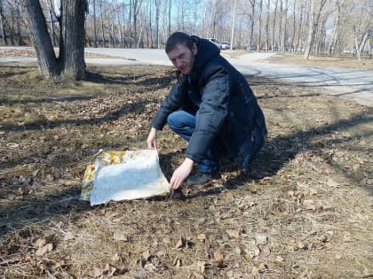 Ученый ГАУ Северного Зауралья выясняет, могут ли кровососущие быть переносчиками лейкоза крупного рогатого скота