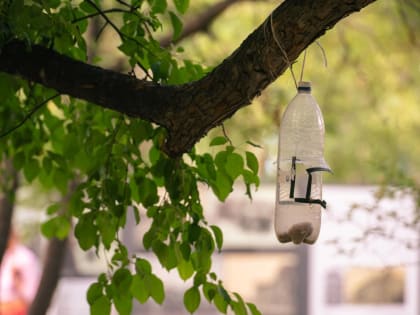 В Тюмени 21 августа ожидается дождь и +17 градусов