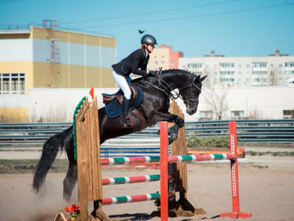 В Тюменской области определили лучших в конном троеборье
