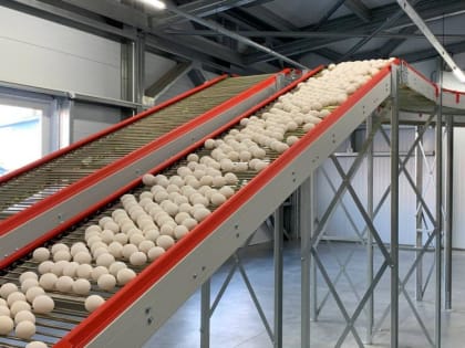 На тюменской птицефабрике в 2023 году построят цех комбикормов и склад для готовой продукции