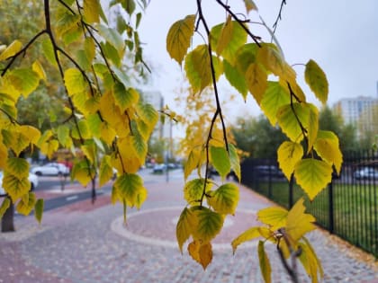 В Тюмени в сентябре был перекрыт абсолютный максимум температуры воздуха