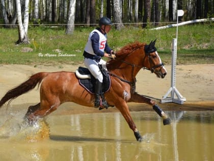 Тюменские наездники привезли семь медалей со всероссийских соревнований