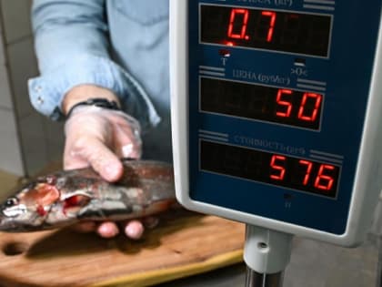 В Тюменской области производители оформили 54,1 млн ветдокументов на продукцию