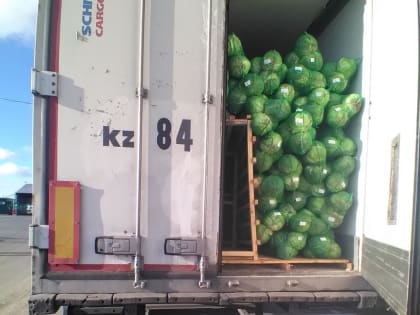 400 тонн сельхозпродукции с просроченными документами не пропустили на границе Тюменской области с Казахстаном