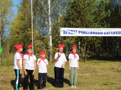 Фестиваль 