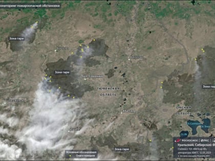 Пожары в Тюменской области видны из космоса