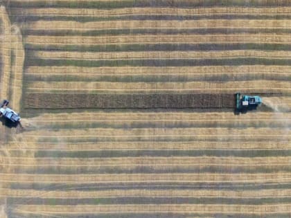 Аграрии Тюменской области засыпали под посев 2023 года 194 тыс. тонн семян