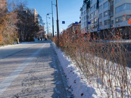 В Тюмени 29 октября похолодает до -8 градусов