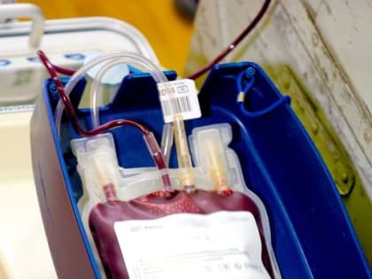 Почётные доноры Тюменской области получили выплаты