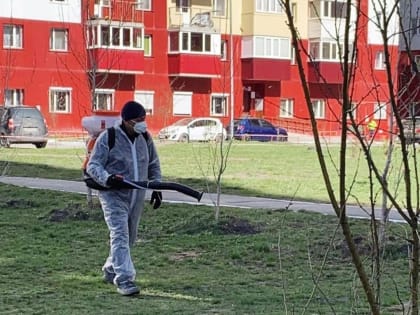 В Тюмени стартовал второй этап обработок скверов и парков от клещей