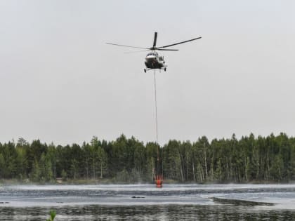 Авиалесоохране России исполнилось я 91 год