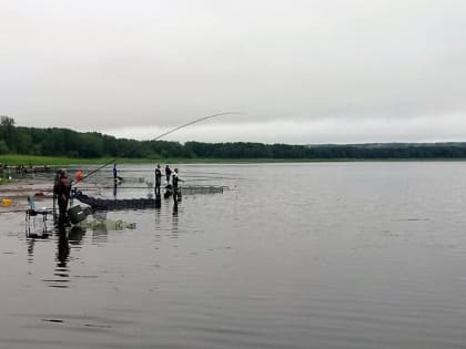 В Уватском районе определили мастеров в ловле поплавочной удочкой