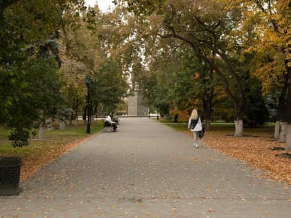 До +15 градусов ожидается в Тюмени 27 сентября