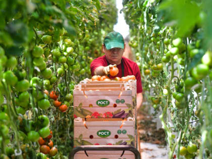 Тюменские экспортеры сельхозпродукции смогут компенсировать до 90 % расходов на сертификацию