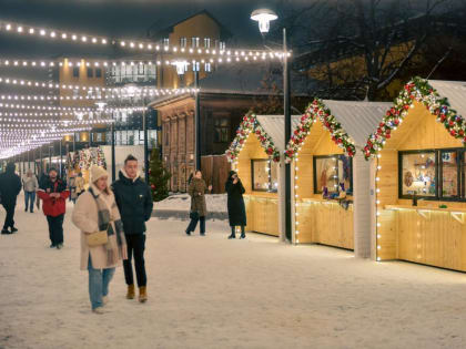 Рождественская ночь на юге Тюменской области будет морозной