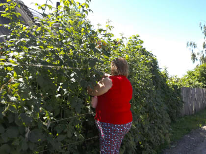 Как не «заработать» инсульт на даче