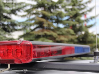 Сотрудники и ветераны ГИБДД отмечают профессиональный праздник