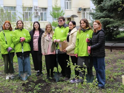В Аптекарском огороде Тюменского медицинского университета высадили крымскую сосну