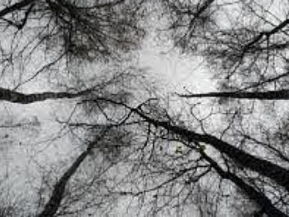 Ночью в Тюмени похолодает до -17 градусов