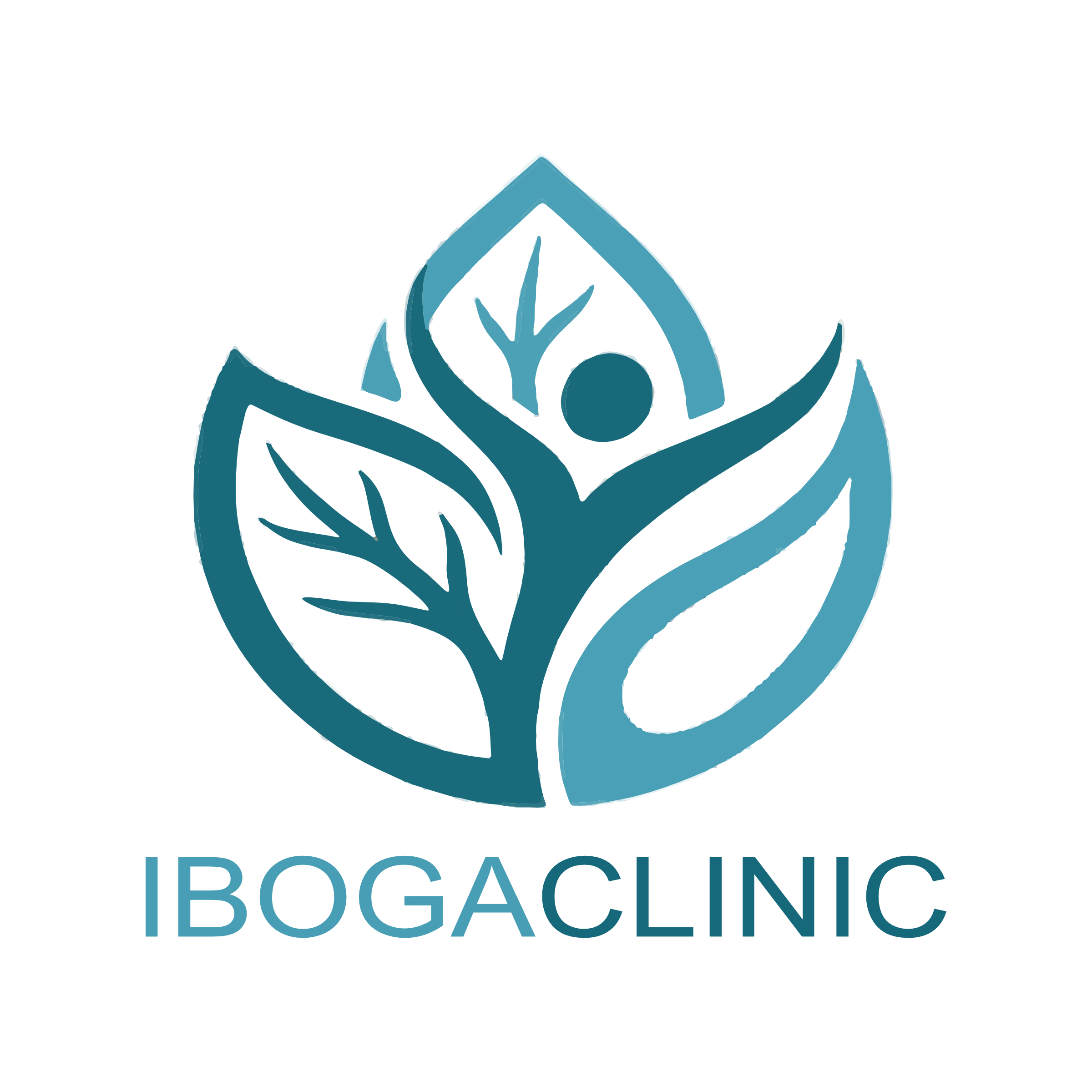 Iboga Clinic