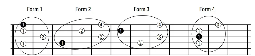 7th chord grips