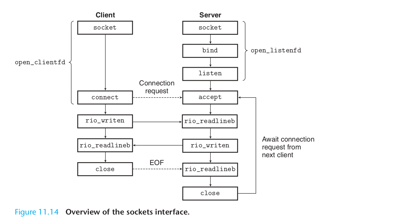 Сетевое программирование сокетов. C# Socket цикл жизни. Unix Network Programming.